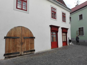 Orator - ubytování v soukromí v centru Znojma Znojmo